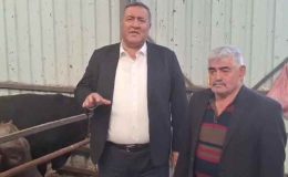 Bu yıl kurbanlıklar el yakacak: Geçen yıl en yüksek fiyat 80 bin TL’ydi, bu yıl 110 bin TL’den başlıyor