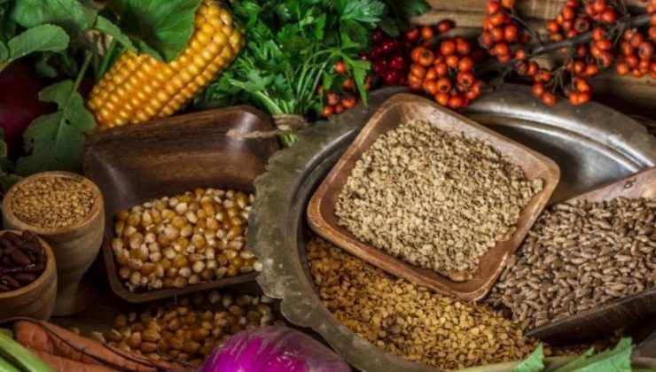 60 Yıllık Emek! 1200 Çeşitlik Tohum Bankası’nın Adresi Çok Yakın