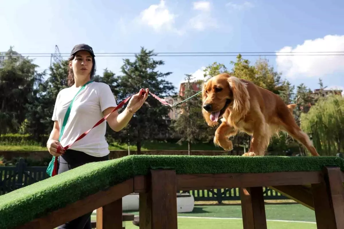 Ümraniye’de Avrupa Standartlarında Köpek Eğitim Merkezi Açıldı