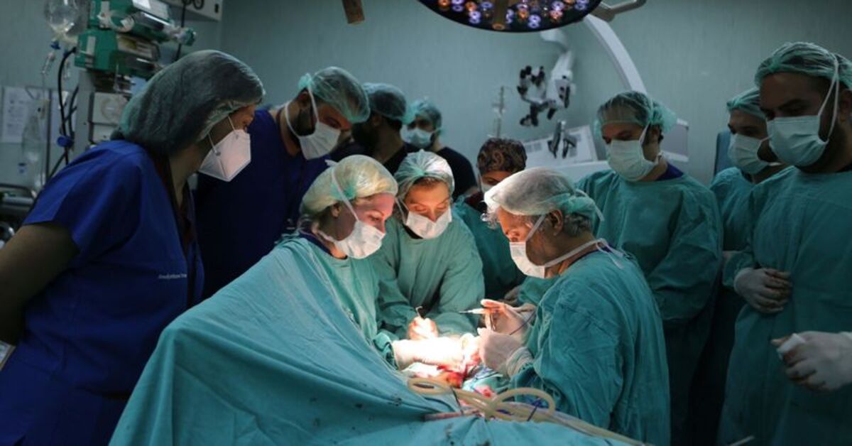 Uzmanlar, gelecekte hayvanlardan insanlara organ nakli yapılabileceğini söylüyor