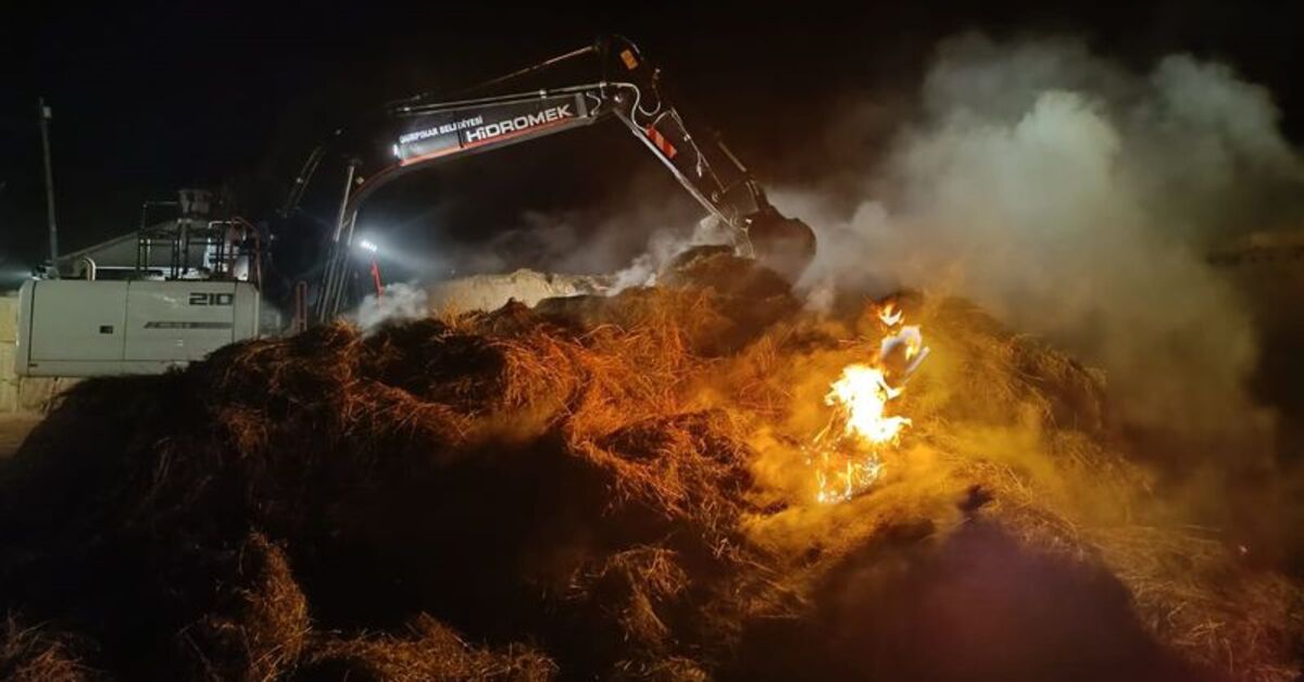 Van’da 4 bin bağ ot yandı