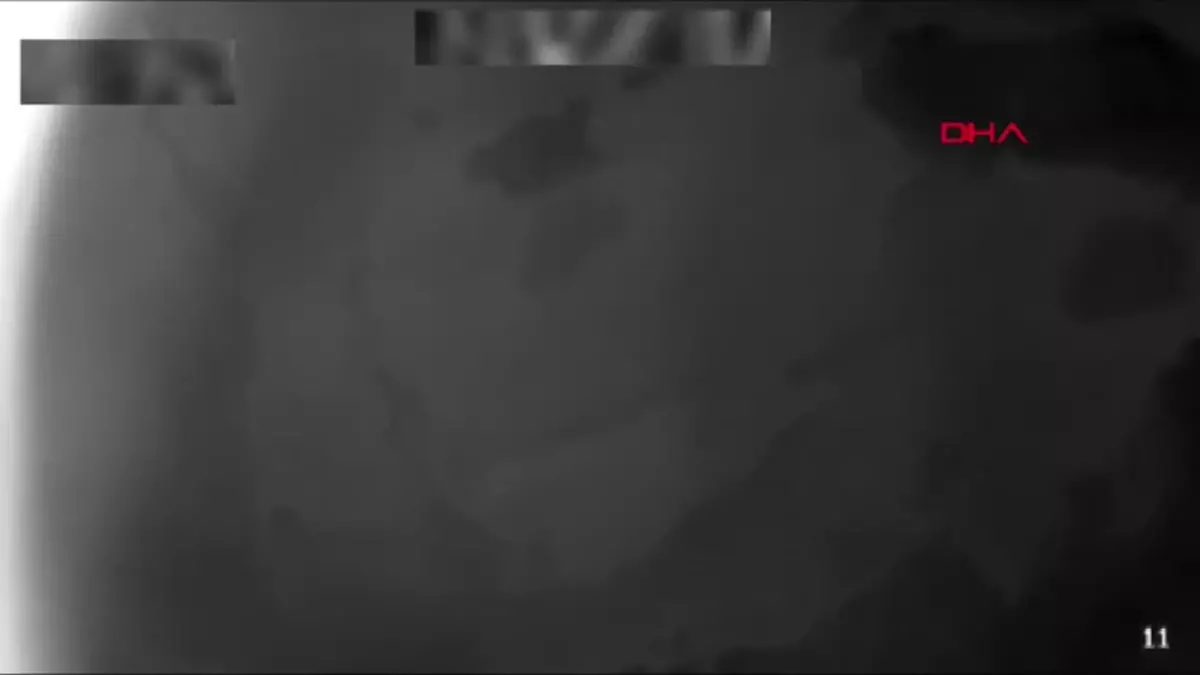 Define Kazısı Yapan 11 Şüpheli Jandarma Tarafından Yakalandı