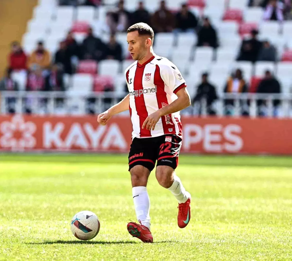 Simic Taburcu Oldu